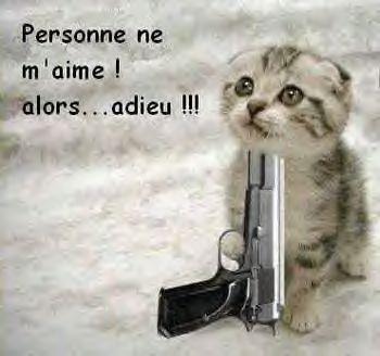 rien a redir