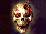 tet de mort