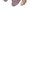 ouvrez